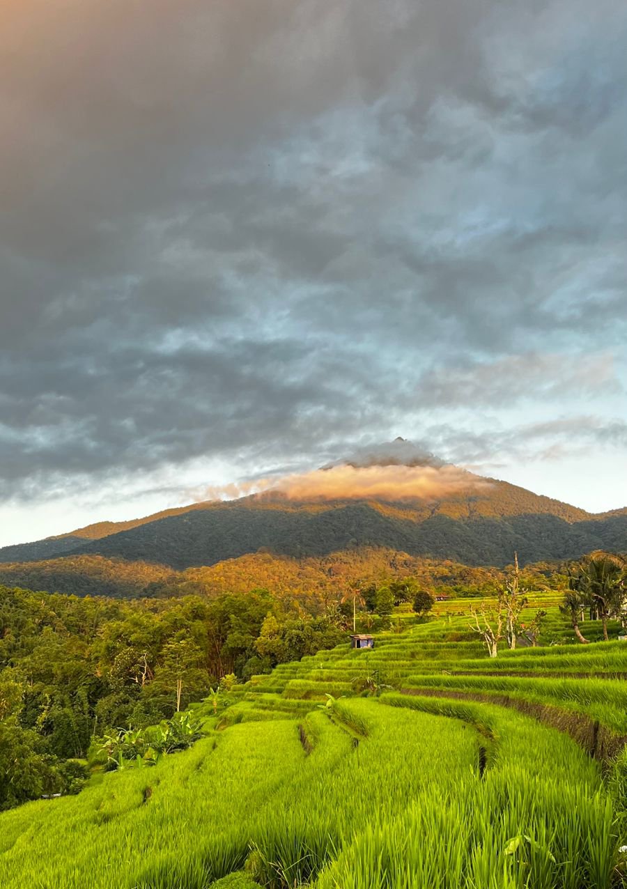 Cascadia Rad Villa Overview